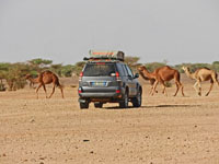 MAROCCO LAGO IRIKI VIAGGI 4X4 AVVENTURA